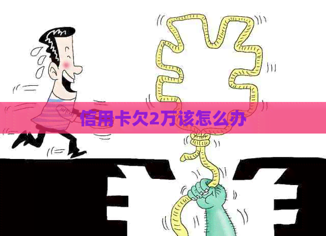 信用卡欠2万该怎么办