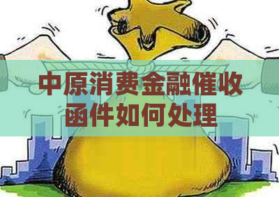 中原消费金融函件如何处理
