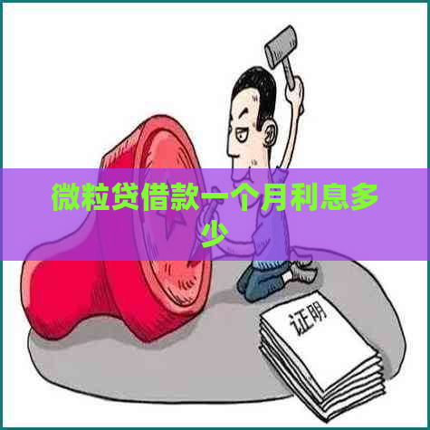 微粒贷借款一个月利息多少