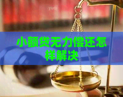 小额贷无力偿还怎样解决 小额贷无力偿还怎样解决