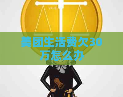 美团生活费欠30万怎么办