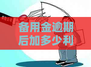 备用金逾期后加多少利息
