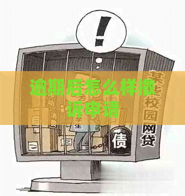逾期后怎么样撤诉申请