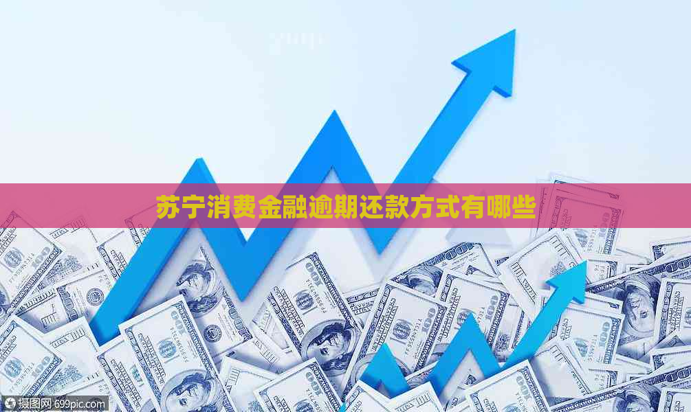 苏宁消费金融逾期还款方式有哪些