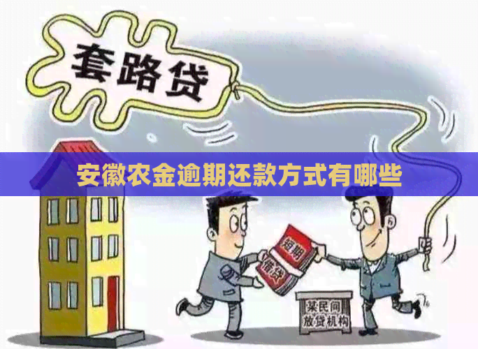 安徽农金逾期还款方式有哪些
