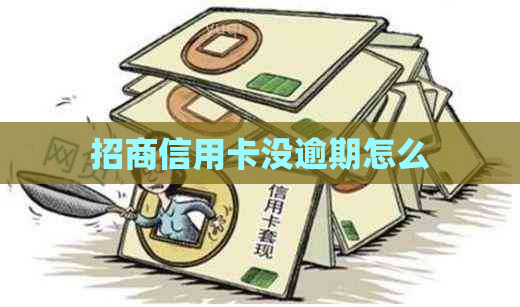 招商信用卡没逾期怎么