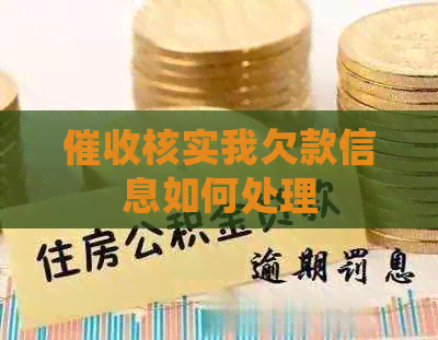 核实我欠款信息如何处理