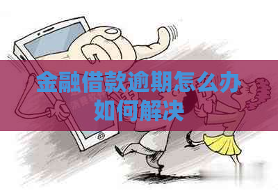 金融借款逾期怎么办如何解决