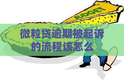 微粒贷逾期被起诉的流程该怎么