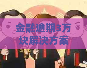 金融逾期3万块解决方案