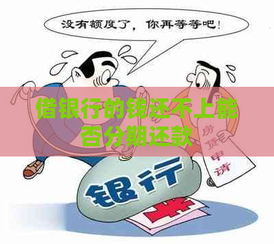 借银行的钱还不上能否分期还款