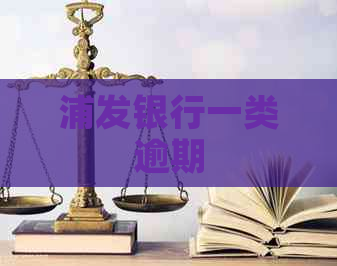 浦发银行一类逾期