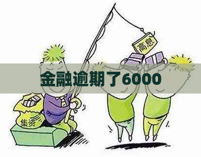 金融逾期了6000