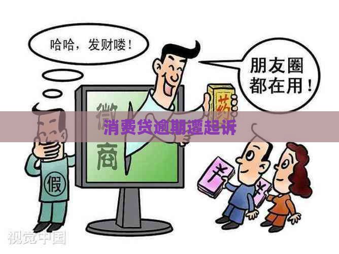 消费贷逾期遭起诉