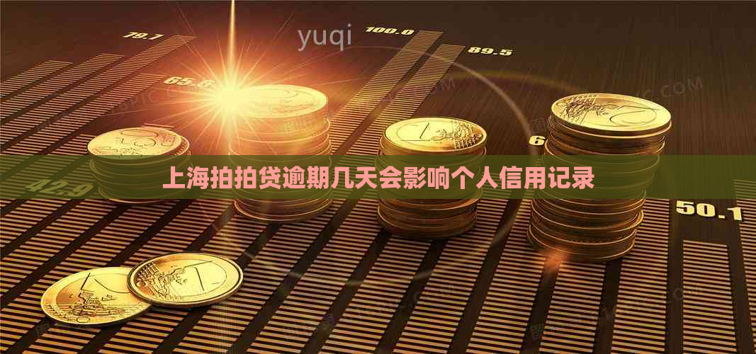 上海逾期几天会影响个人信用记录