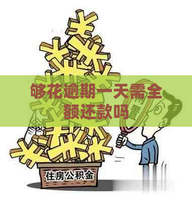 够花逾期一天需全额还款吗
