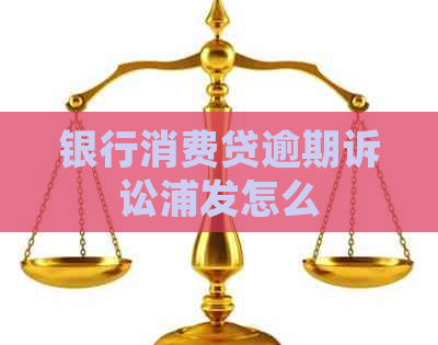 银行消费贷逾期诉讼浦发怎么