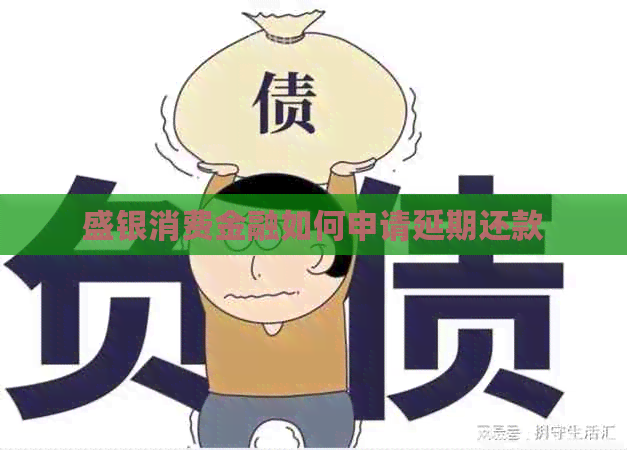 盛银消费金融如何申请延期还款