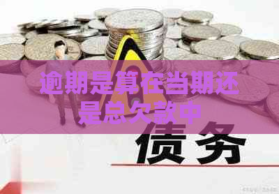 逾期是算在当期还是总欠款中