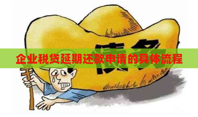 企业税贷延期还款申请的具体流程