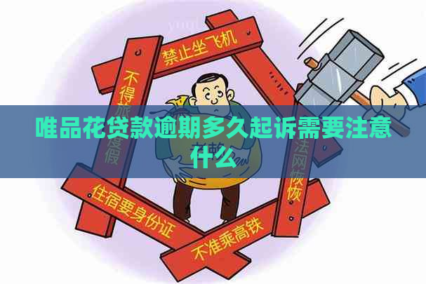 唯品花贷款逾期多久起诉需要注意什么