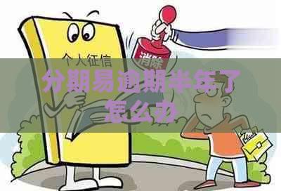 分期易逾期半年了怎么办