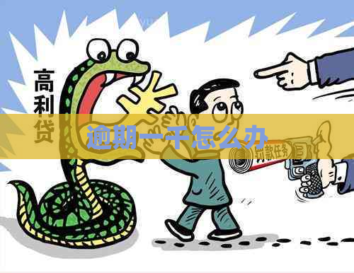 逾期一千怎么办