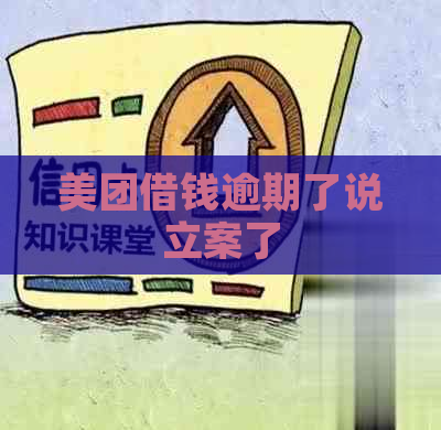 美团借钱逾期了说立案了