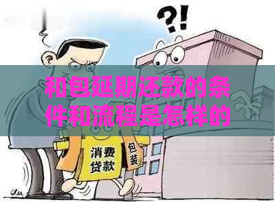 和包延期还款的条件和流程是怎样的