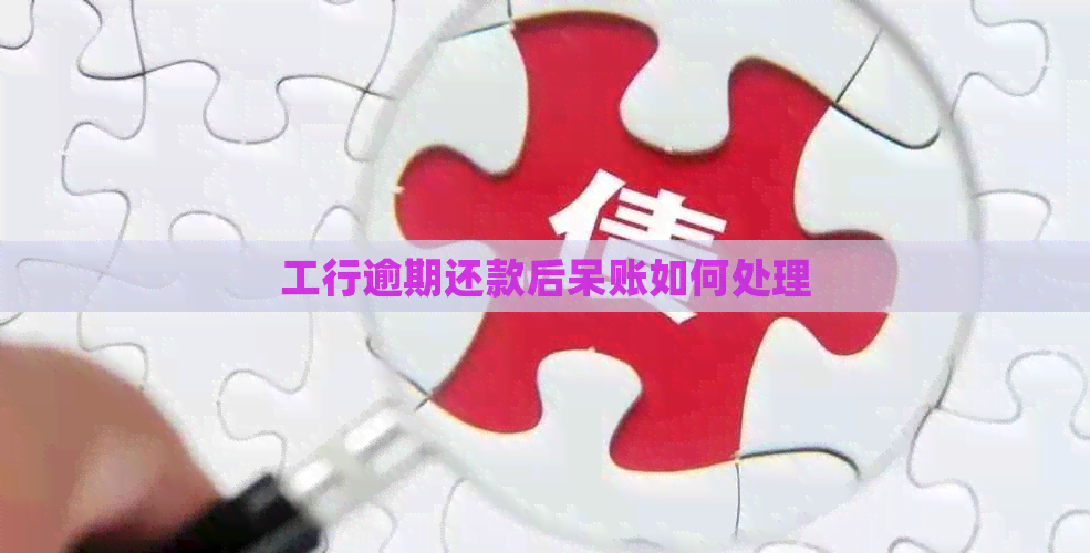 工行逾期还款后呆账如何处理