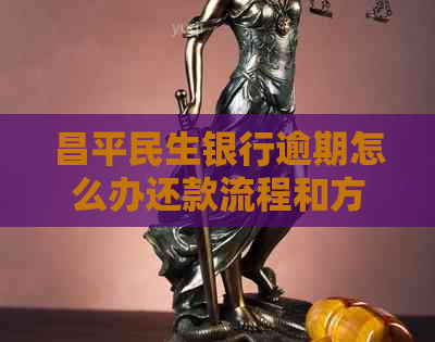 昌平民生银行逾期怎么办还款流程和方法