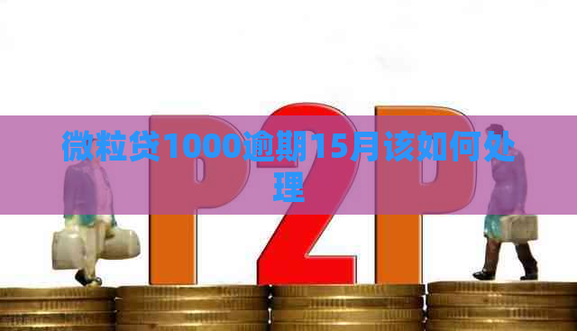 微粒贷1000逾期15月该如何处理
