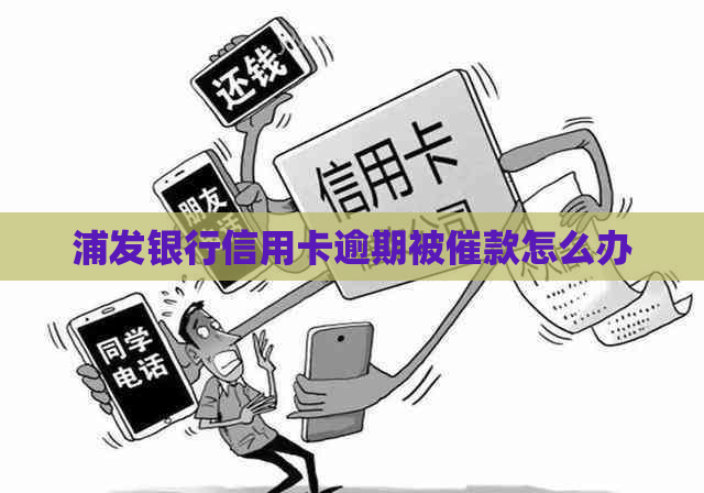 浦发银行信用卡逾期被催款怎么办