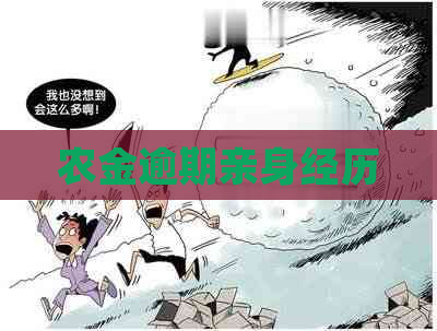 农金逾期亲身经历 农金逾期亲身经历