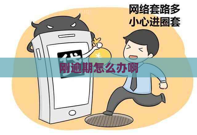 刚逾期怎么办啊