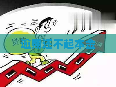 逾期还不起本金