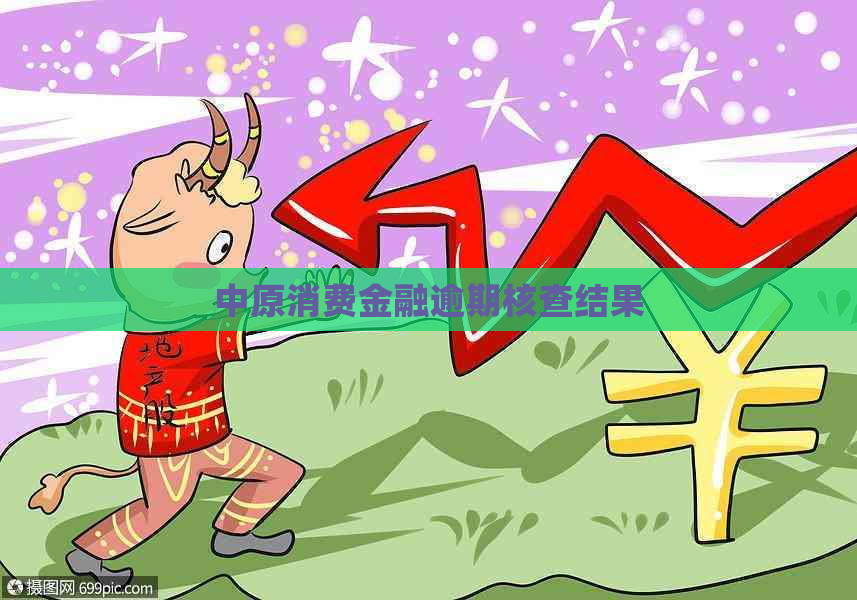 中原消费金融逾期核查结果