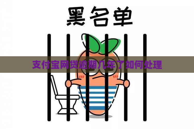 支付宝网贷逾期几年了如何处理