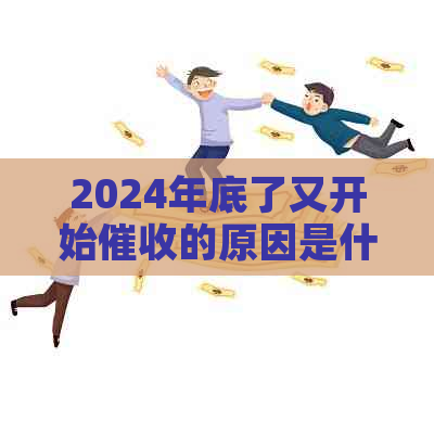 2024年底了又开始的原因是什么