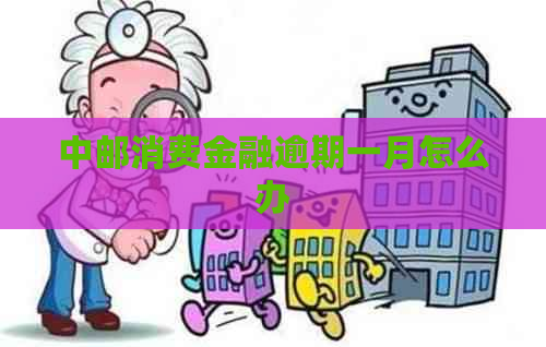 中邮消费金融逾期一月怎么办