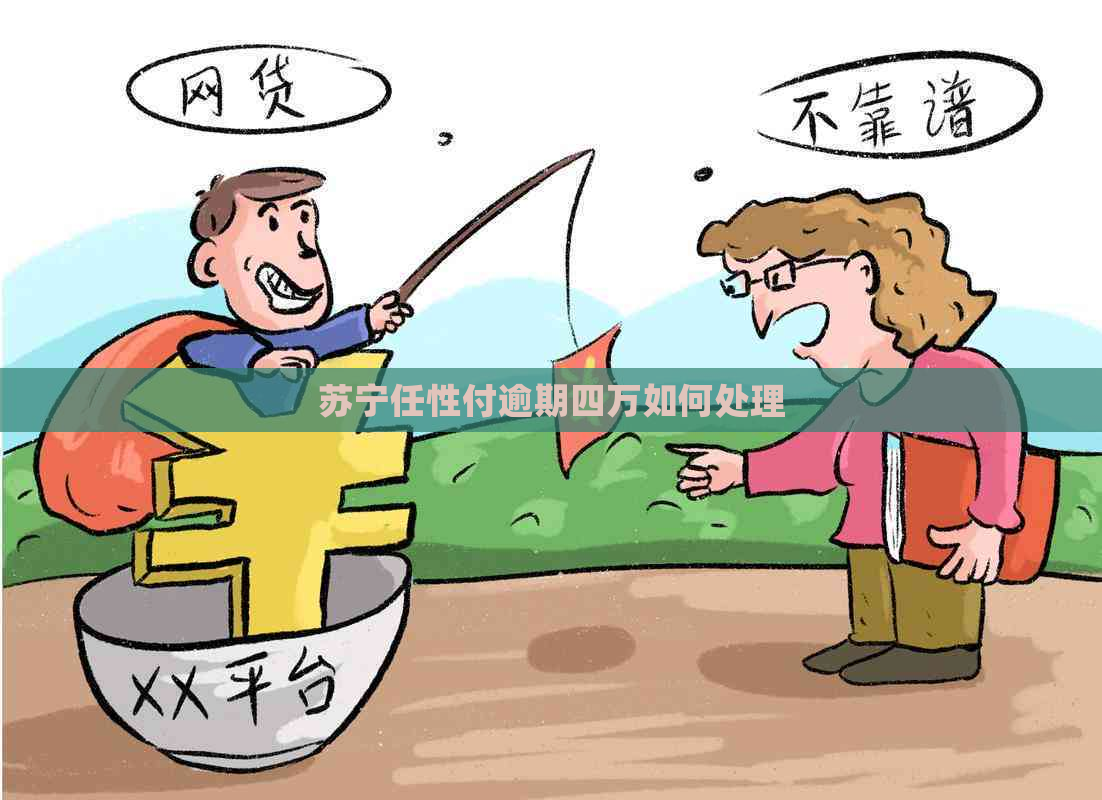 苏宁任性付逾期四万如何处理