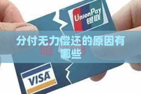 分付无力偿还的原因有哪些