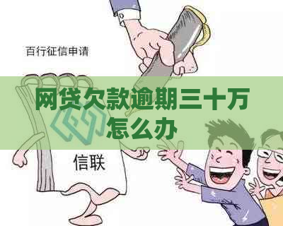 网贷欠款逾期三十万怎么办