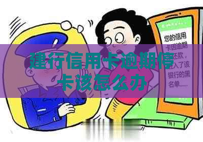 建行信用卡逾期停卡该怎么办