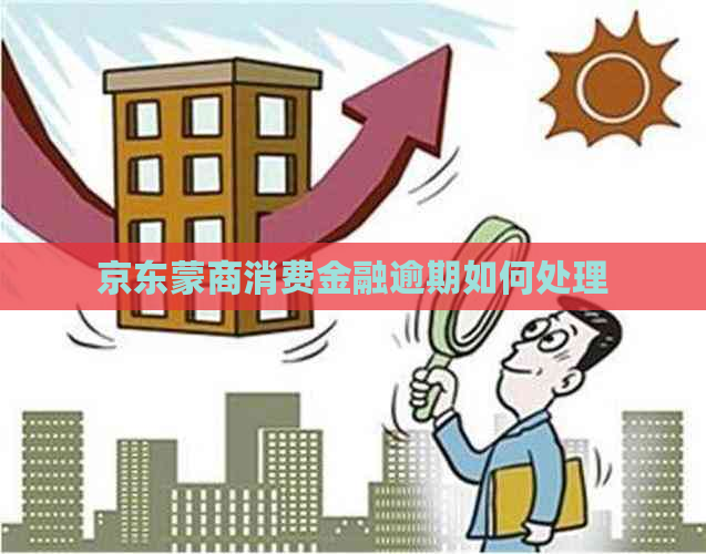 京东蒙商消费金融逾期如何处理
