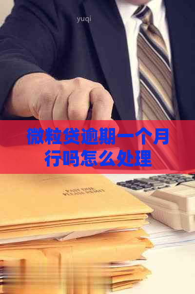 微粒贷逾期一个月行吗怎么处理