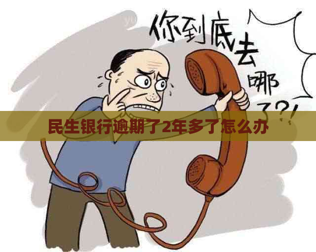 民生银行逾期了2年多了怎么办