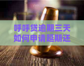呼呼贷逾期三天如何申请延期还款