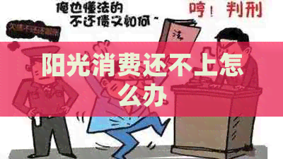 阳光消费还不上怎么办 阳光消费还不上怎么办