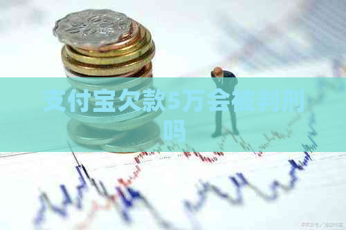 支付宝欠款5万会被判刑吗